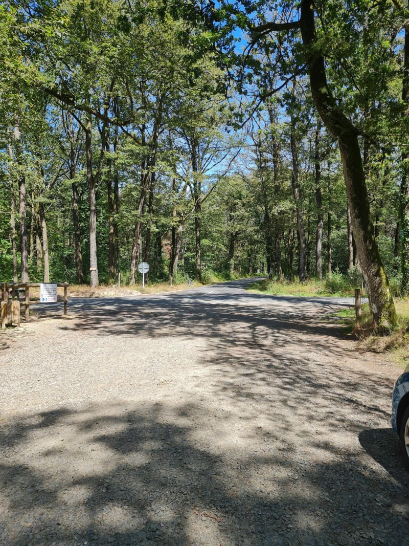 Le tour des lacs en forêt de Nuaillé - Mazières-en-Mauges