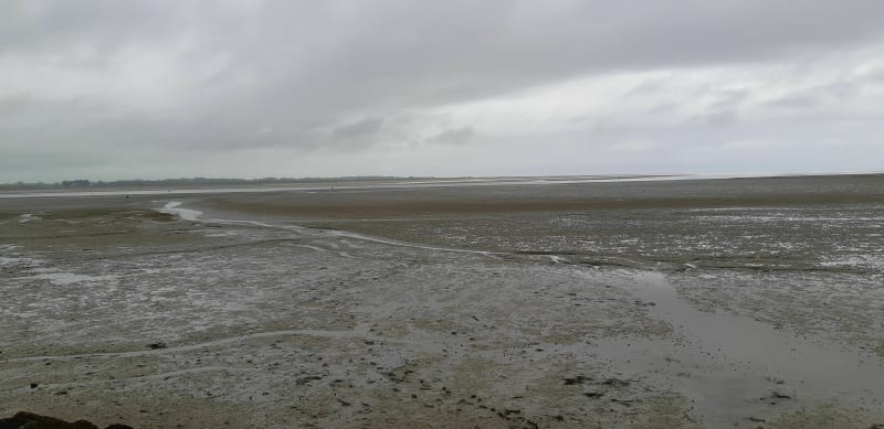 De la maison du parc à la Pointe de Brévands - Carentan les Marais