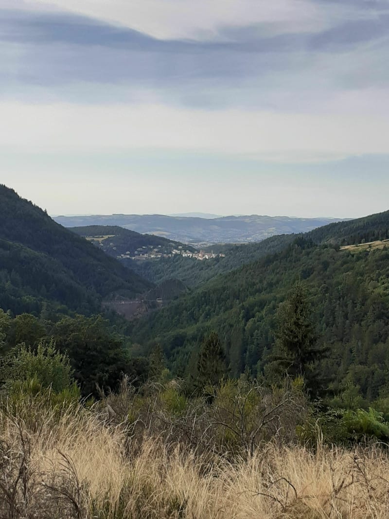 Barrage de Planfoy et retour par la forêt - Planfoy