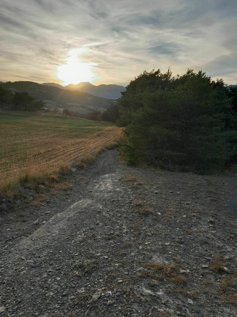 Single aux Aroncis - La Bâtie-Neuve