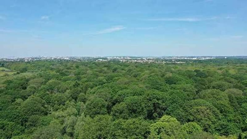 Tour des bois Saint-Martin et bois de Célie - Noisy-le-Grand