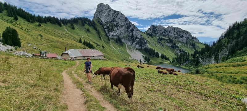 Le lac d'Arvouin - La Chapelle-d'Abondance