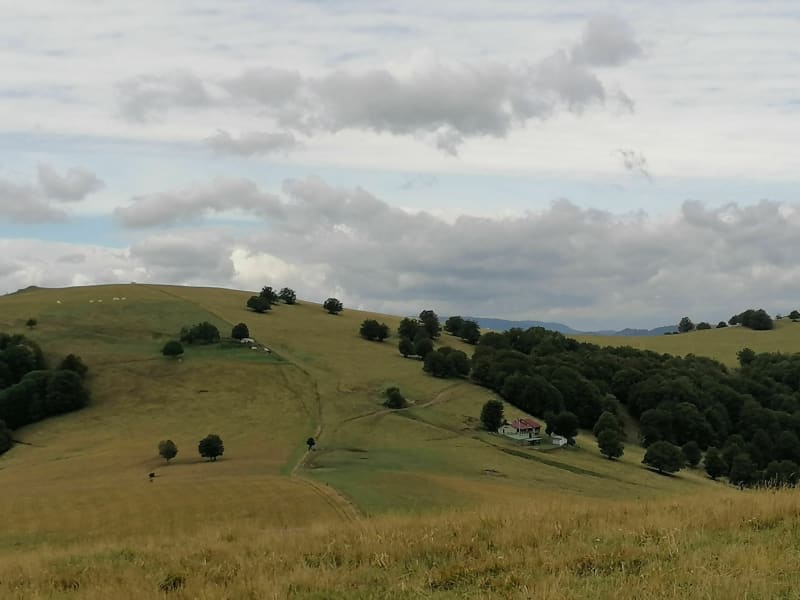 Le massif du Rossberg - Bourbach-le-Haut