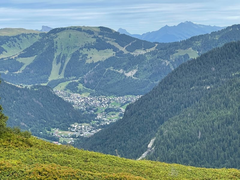 Petite randonnée en Haute-Savoie à travers les myrtilles - Châtel