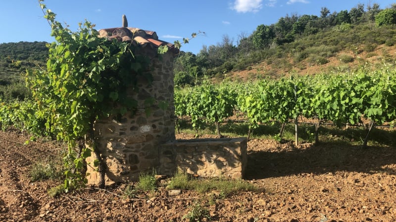 Petite boucle entre Roquebrun, Berlou, Escagnes et Ceps - Roquebrun