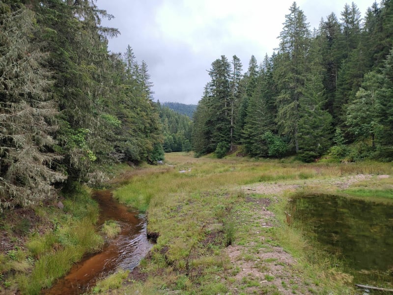 Belbriette départ camping à l'eau vive - Xonrupt-Longemer