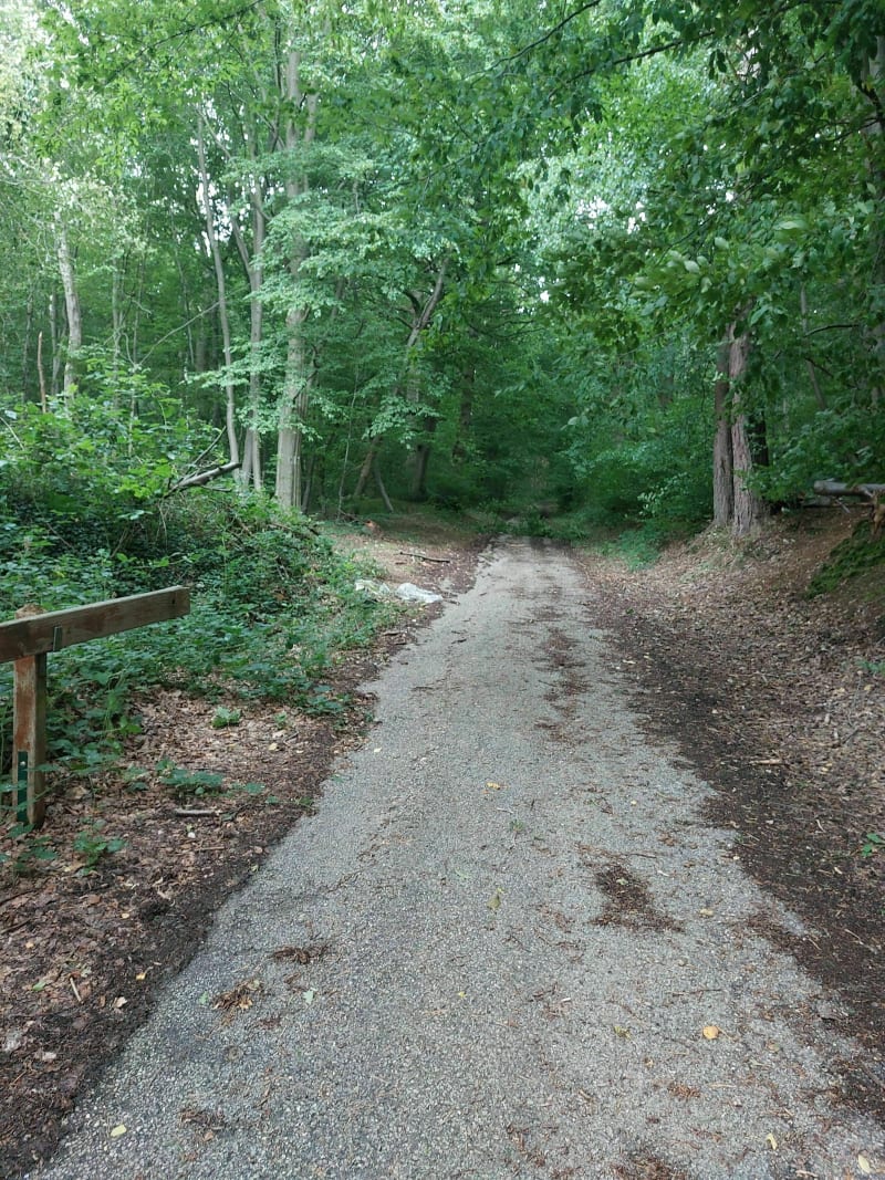 Forêt Notre-Dame de Bondeville - Notre-Dame-de-Bondeville