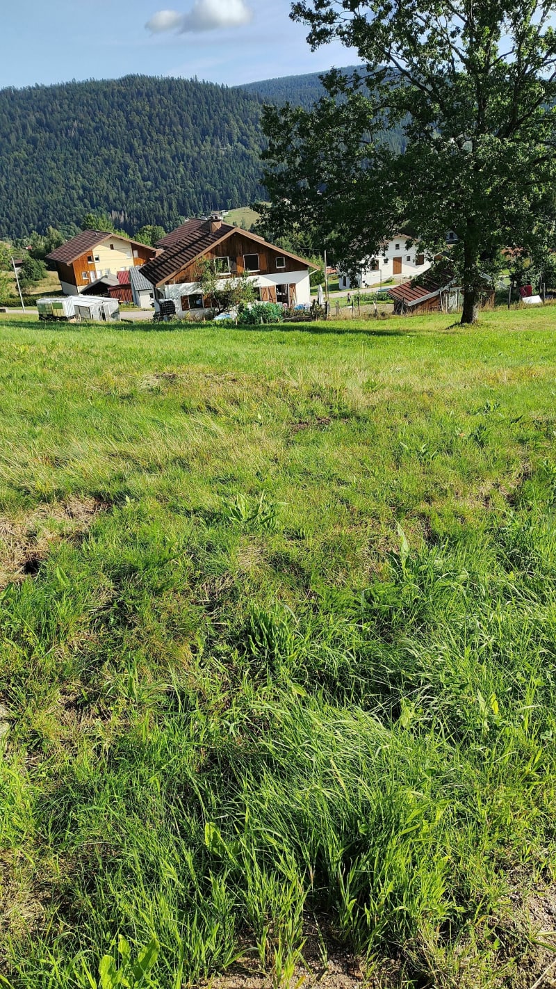Balade autour de Xonrupt - Xonrupt-Longemer