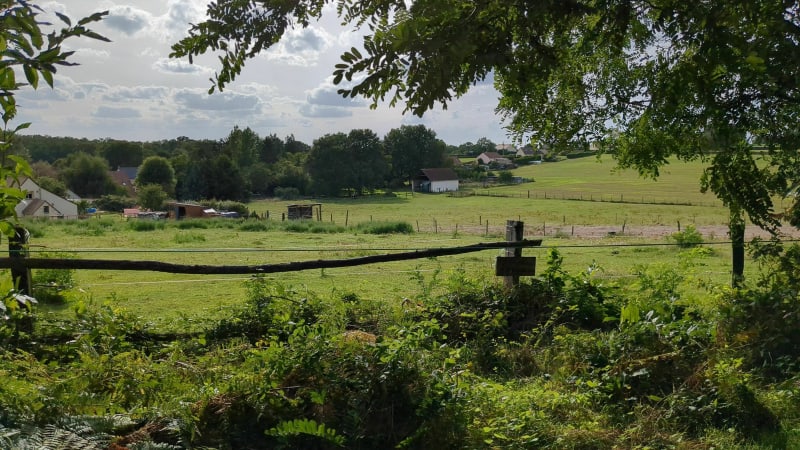 Balade dans les champs et en forêt à Sillé-le-Philippe - Sillé-le-Philippe