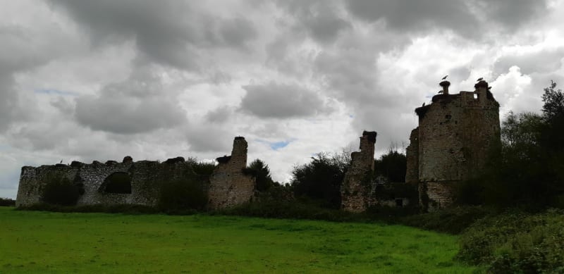 Sur le chemin des cigognes entre bocages et marais à Saint-Fromond - Saint-Fromond