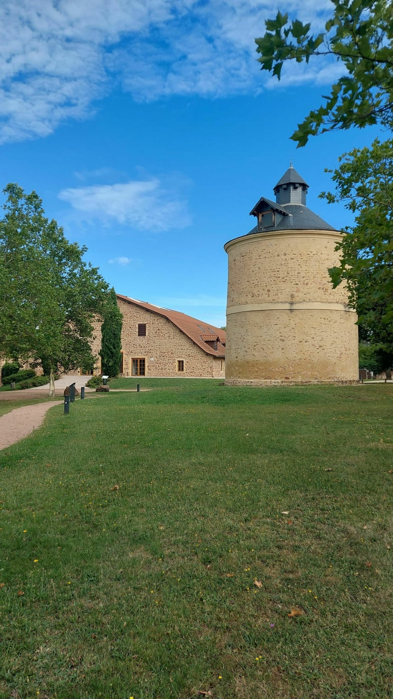 Du parc de la Chamary au bois de la Ronzière. - Saint-Vincent-de-Boisset