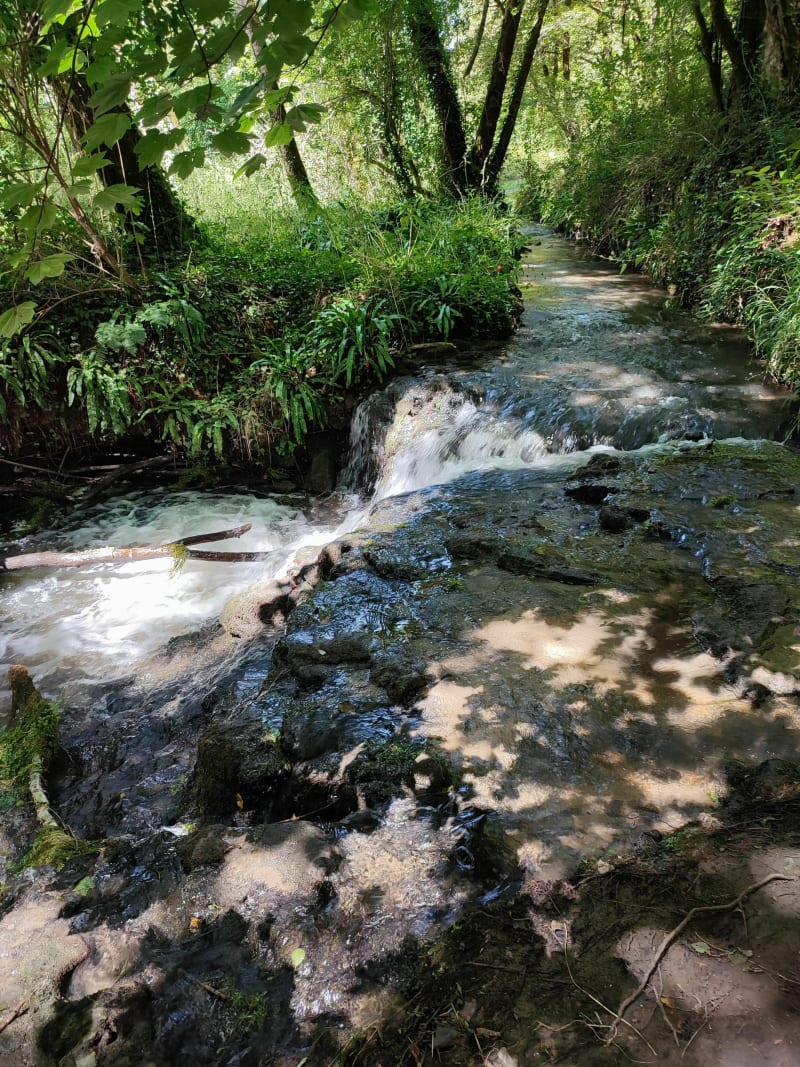 Boucle de Marobert-Vitrac - Vitrac