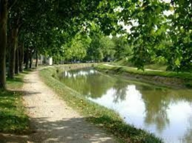 Dans la campagne Guerchoise - La Guerche-sur-l'Aubois