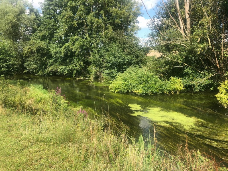 Étangs de Saint-Ladre autour de Boves - Boves