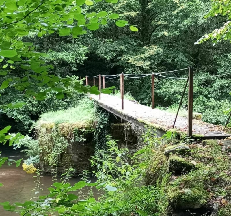 Wandelen in de Maronne-kloven - Pleaux