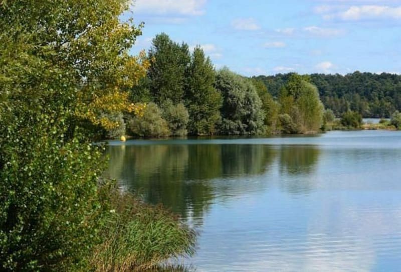 Balade entre forêt et canal à Saint-Cyr-l'Ecole - Saint-Cyr-l'École