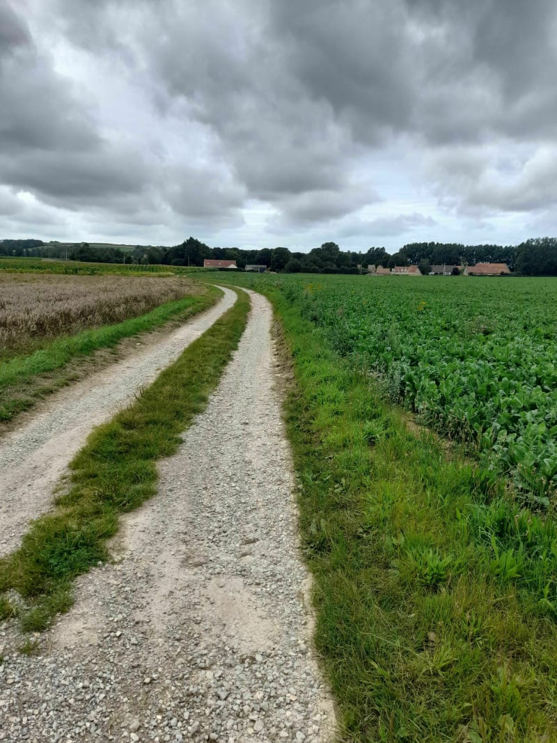 Balade du Colombier - Audembert