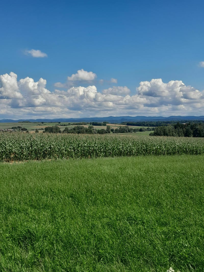 La Gaillarde, balade en campagne - Brouville