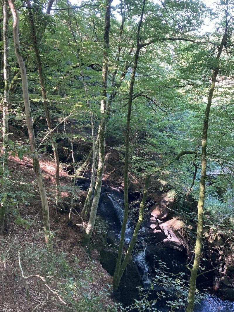 Jolie balade entre vallée du Trévelo et Limerzel - Limerzel