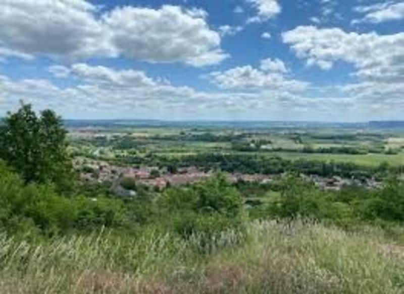 Entre forêt, vignes et vergers dans les côtes de Toul - Écrouves
