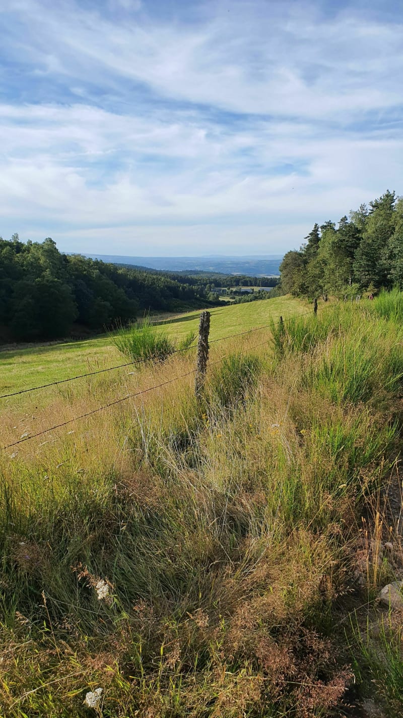 Puy de la Tuile, Cantal - Deux-Verges