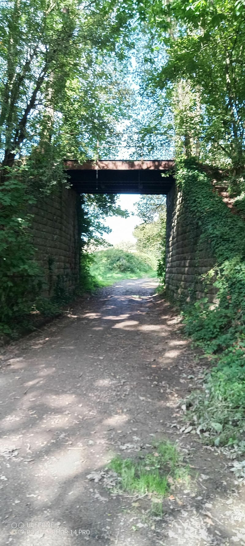 Promenade ombragée landaise - Notre-Dame-des-Landes