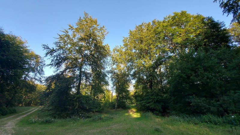 Pierrefonds - forêt de Compiègne - Pierrefonds