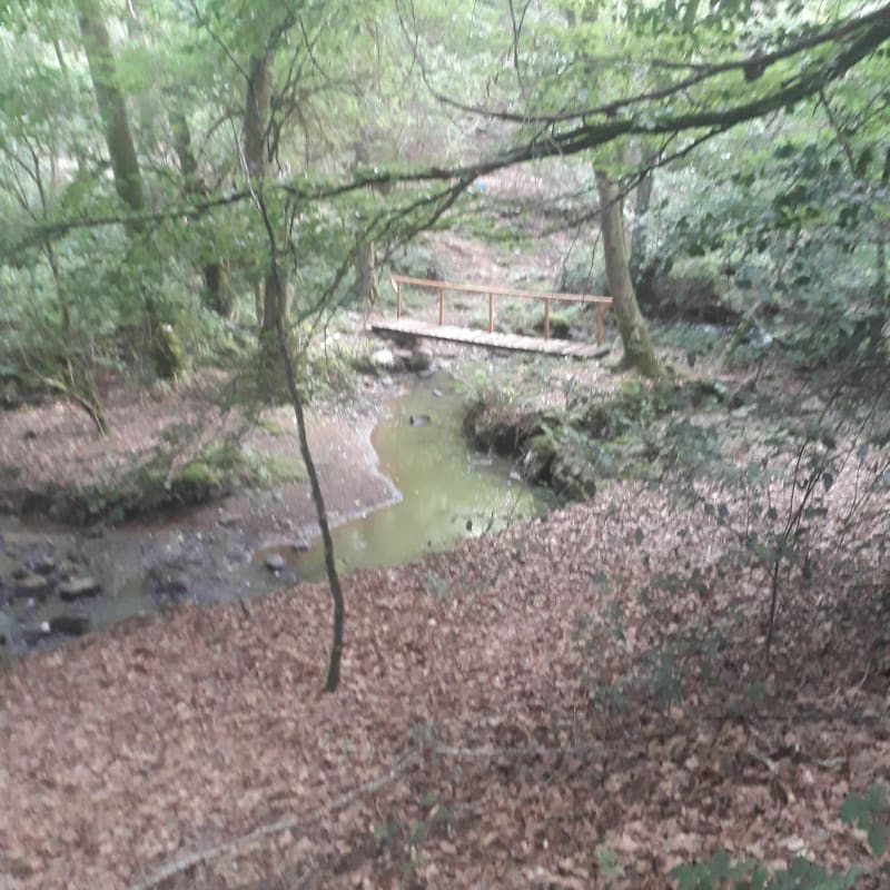 Le Moulin du Meyniel - Saint-Mamet-la-Salvetat