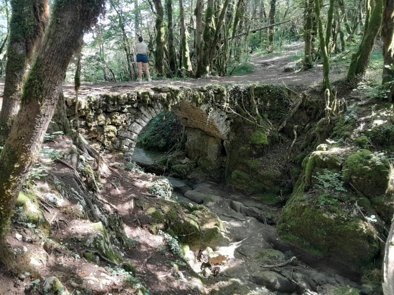 Cascade Quinquenouille - Valzin en Petite Montagne