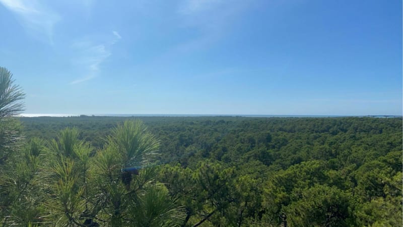 Visite au Pey de la Blet - Saint-Jean-de-Monts