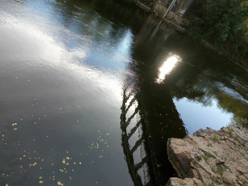 Sur les bords de l'Allier à Longues - Vic-le-Comte