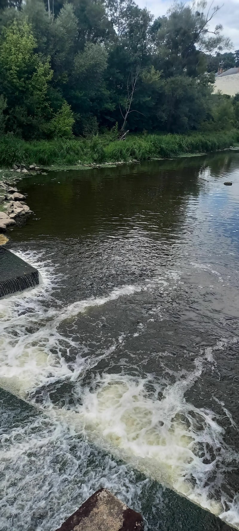 Randonnée sur les rives du Thouet - Saumur