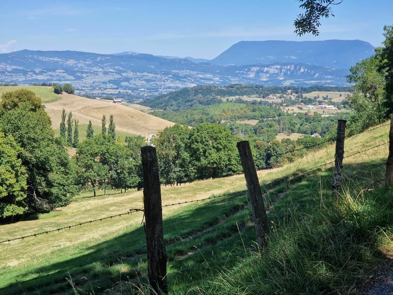 Petites routes d'Isère en vélo - Charavines