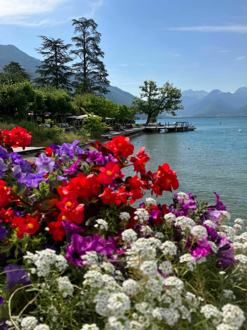 Promenade au bord de Talloires et la Grotte aux oiseaux - Talloires-Montmin