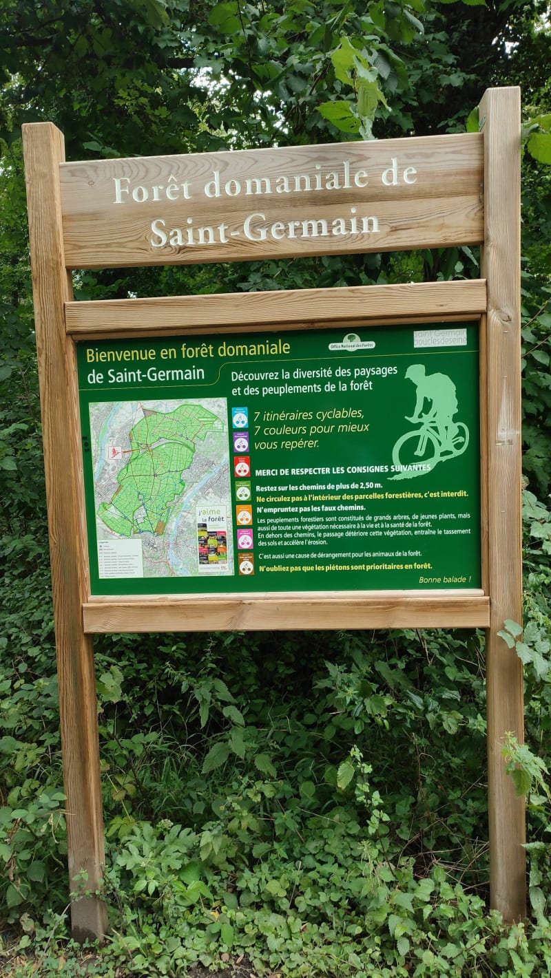 Découverte de la forêt par Etoile du Petit Parc - Saint-Germain-en-Laye
