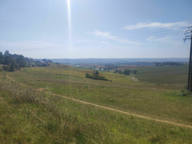 Voir Saint-Loup à Saint-Antoine par la route des vignobles. - Saint-Loup