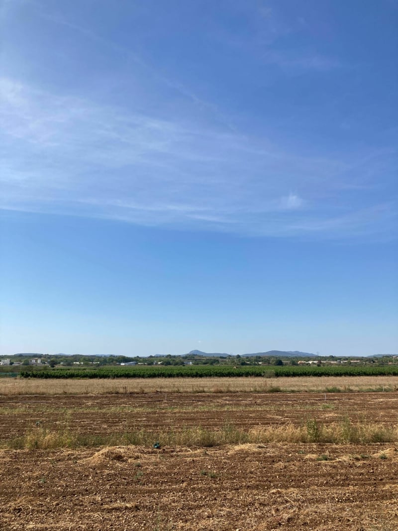 Paulhan / Pézenas par les vignes - Paulhan