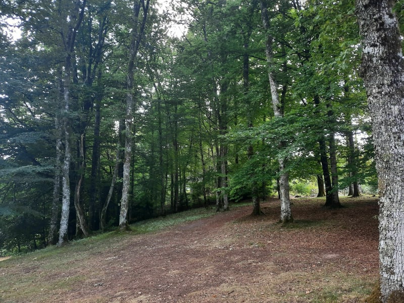 Balade à Liginiac - Liginiac