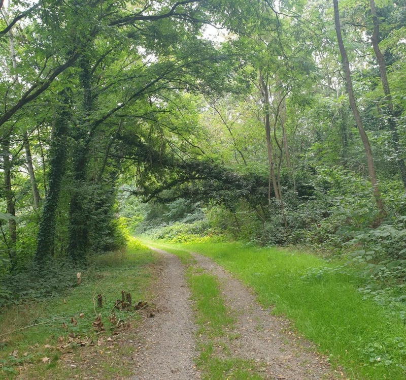 Balade apaisante et ludique à Enisheim - Ensisheim