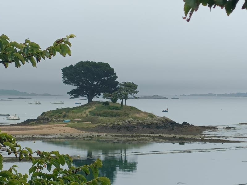 Ile aux arbres et Baie de Pommelin - Lézardrieux