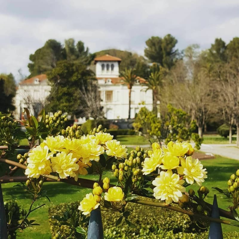 Des jardins de la Villa Marie à Port-Fréjus - Fréjus