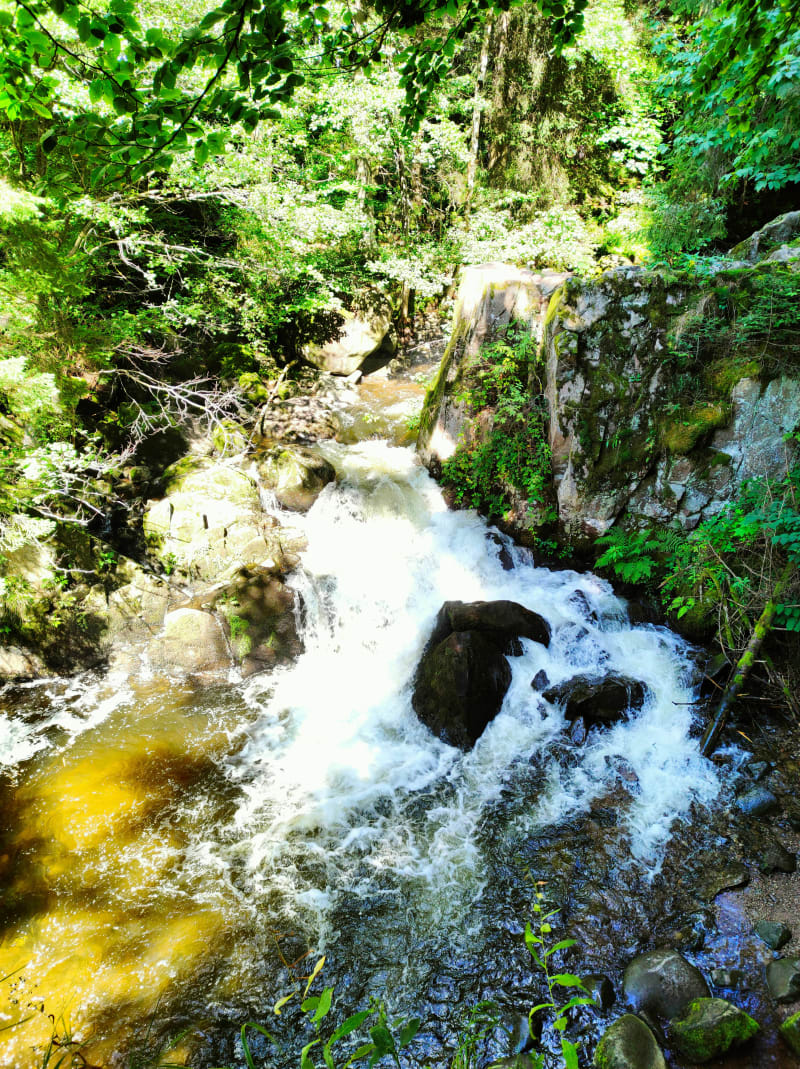 Xonrupt-wandeling op de Vologne - Xonrupt-Longemer