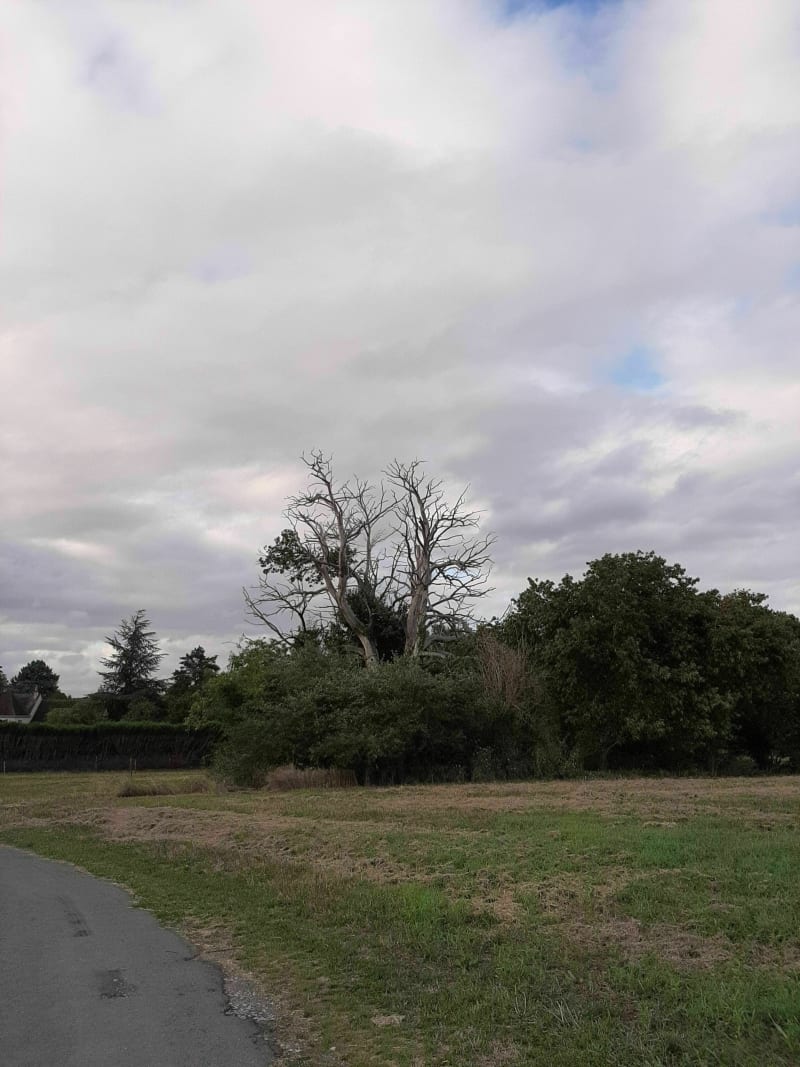 Balade dans les coteaux de Thoré par Les Fougères - Civray-de-Touraine
