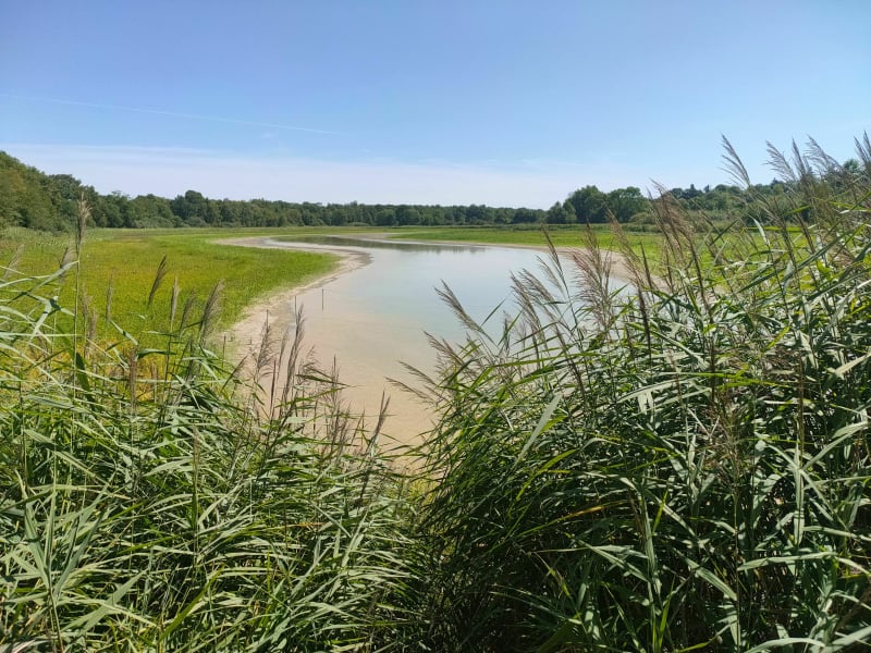 Balade sympa au coeur des champs de Civrieux - Civrieux