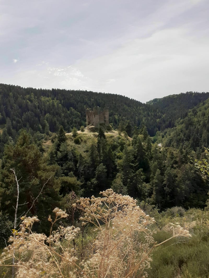 Chateau d'Alleuze - Alleuze