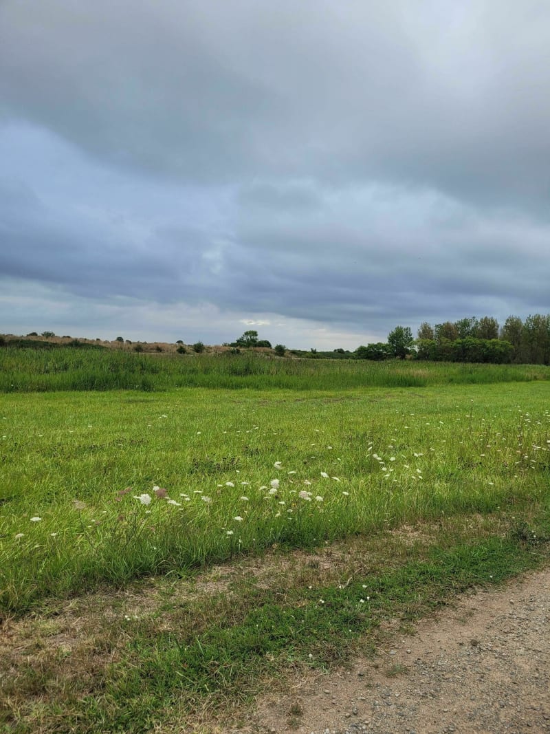 Belle balade à Saint-Amand-les-Eaux - Saint-Amand-les-Eaux