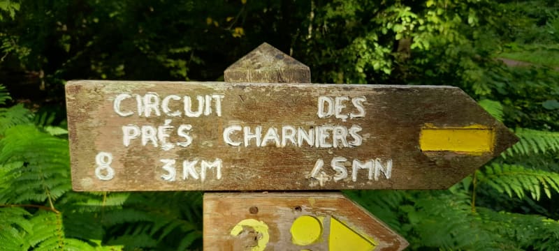 Petite randonnée des Prés Charniers - Saint-Amand-les-Eaux