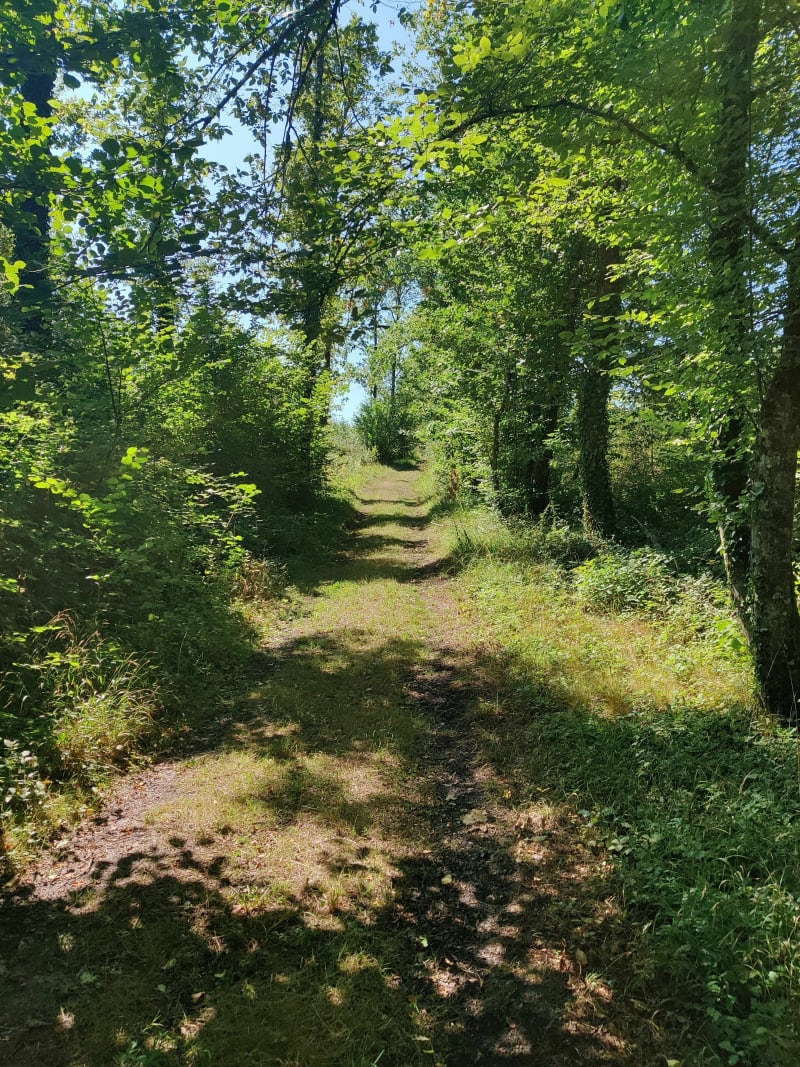 Autour du bois Coquet - La Douze