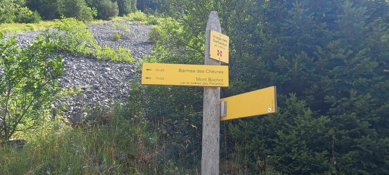 Randonnée jusqu'au Mont Bochor par le sentier des Pariettes - Pralognan-la-Vanoise