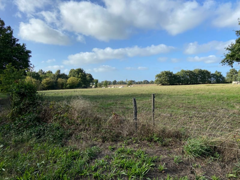Balade à travers la campagne de Beaufou - Beaufou